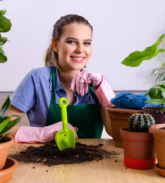 The young female gardener with plants indoors - Photo, Image