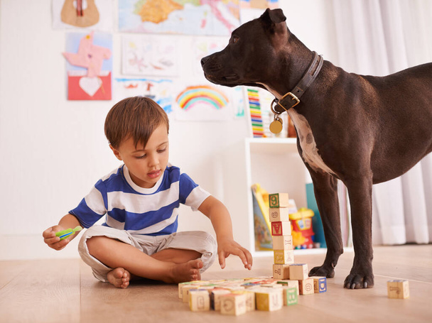 Idealny towarzysz zabaw. Młody chłopiec bawiący się klockami w swoim pokoju, podczas gdy jego pies stoi obok - Zdjęcie, obraz