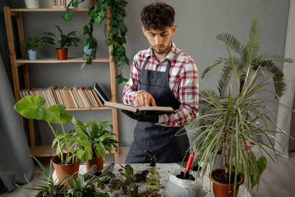 Pihentető házi kertészkedés. Fiatal, boldog arab férfi cserepes növényekkel és foglaljon modern otthonában napsütéses napokon. - Fotó, kép