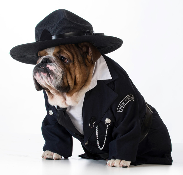 Police officer or dog catcher - Foto, Bild