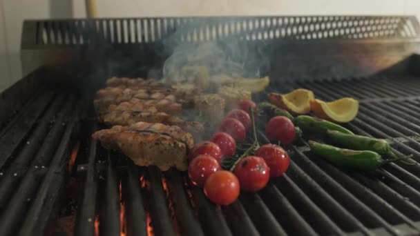 Des morceaux de poisson, de tomates et de légumes sont grillés sur la grille du barbecue avec un feu ouvert. Ralenti, Gros plan. - Séquence, vidéo