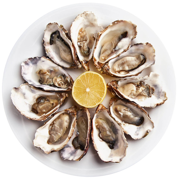 Huîtres fraîches ouvertes servies avec des tranches de citron sur plaque blanche, isolées sur fond blanc. - Photo, image