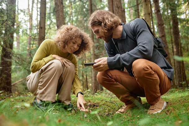 Casal jovem encontrar cogumelos na floresta e pesquisando seu nome no smartphone - Foto, Imagem