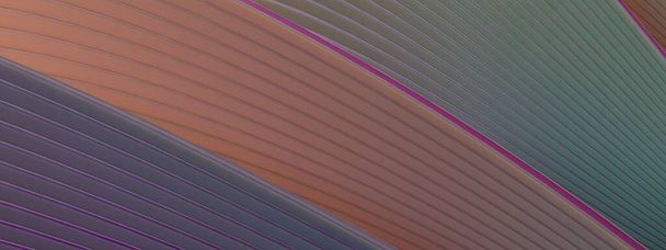 Elegante y moderno 3D Rendering fondo abstracto con colores cálidos que expresa el lujo de curvas de flexión, torsión y curvas delicadas Bezier. - Foto, Imagen