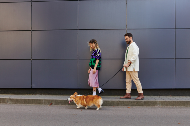 onnellinen ja tyylikäs pari kävelemässä corgi koiran kanssa lähellä modernia harmaata rakennusta, eläinkumppaneita - Valokuva, kuva