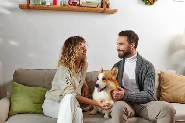 glückliches Paar im lässigen Winteroutfit auf der Couch sitzend und Corgi-Hund schmusend in moderner Wohnung - Foto, Bild