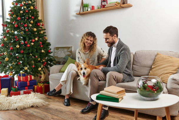 veselý pár sedí na gauči a mazlení corgi pes v blízkosti zdobené vánoční stromeček a dárky - Fotografie, Obrázek