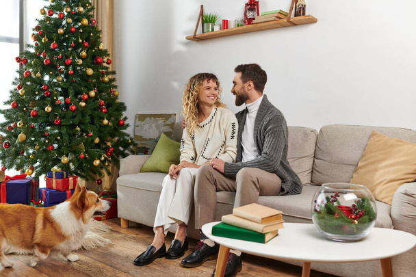 veselý pár sedí na gauči, mazlení corgi pes v blízkosti zdobené vánoční stromeček s dárky - Fotografie, Obrázek