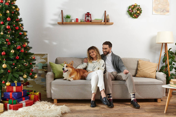 cheerful couple sitting on couch and cuddling corgi dog near decorated Christmas tree at home - Photo, Image