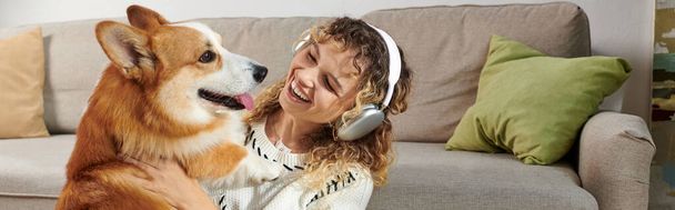 femme bouclée dans des écouteurs sans fil jouer avec chien corgi mignon dans un appartement moderne, moments heureux - Photo, image