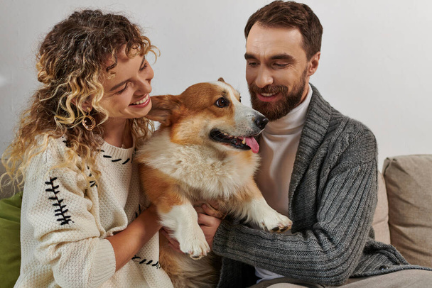 joyful couple in winter attire smiling and playing with corgi dog in modern apartment, happy moments - Photo, Image