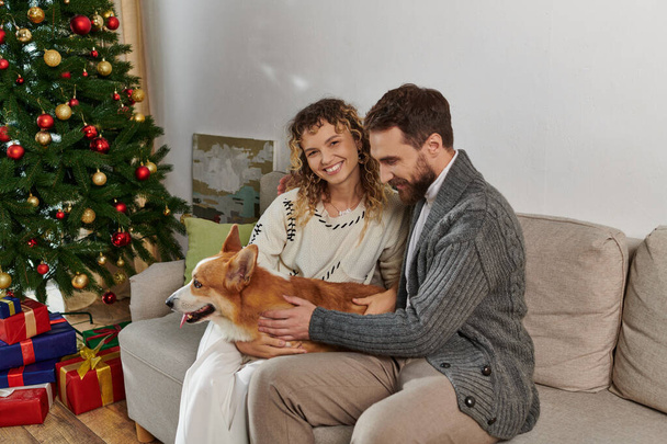 joyful couple in winter attire smiling and playing with corgi dog near decorated Christmas tree - Photo, Image