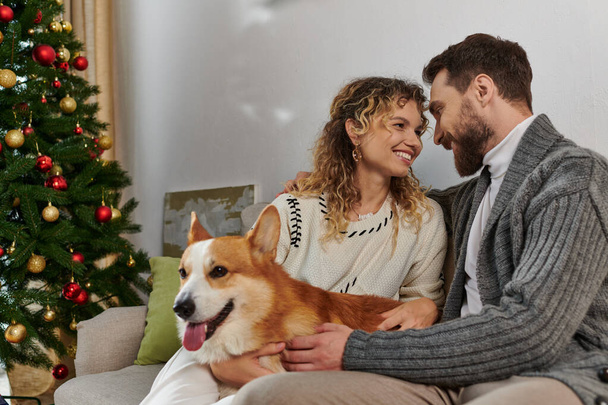 fröhliches Paar in Winterkleidung lächelt und spielt mit Corgi-Hund neben geschmücktem Weihnachtsbaum - Foto, Bild