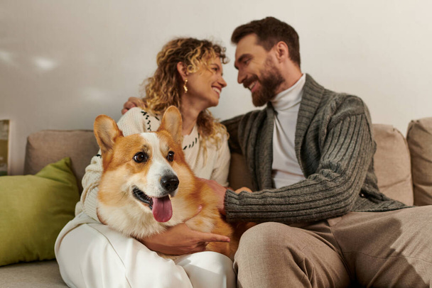 ζευγάρι σε χειμωνιάτικη ενδυμασία χαμογελώντας και παίζοντας με το σκυλάκι στο μοντέρνο διαμέρισμα, χαρούμενες στιγμές - Φωτογραφία, εικόνα