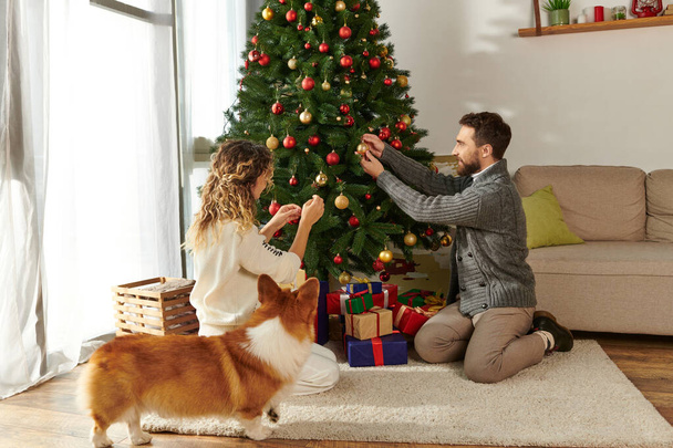 feliz pareja en invierno ropa decorar árbol de Navidad cerca envuelto regalos y corgi perro - Foto, imagen