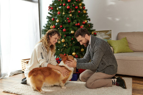 feliz pareja en invierno ropa abrazo corgi perro cerca decorado árbol de Navidad con chucherías - Foto, imagen