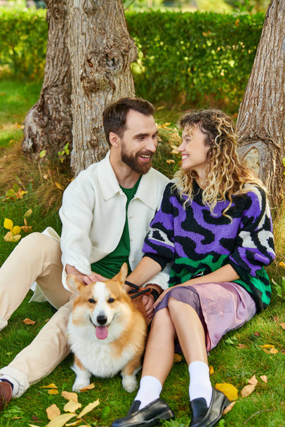wesoły mężczyzna przytulanie kręcone kobieta w słodkie strój podczas przytulania corgi pies w parku, siedzi w pobliżu drzewa - Zdjęcie, obraz