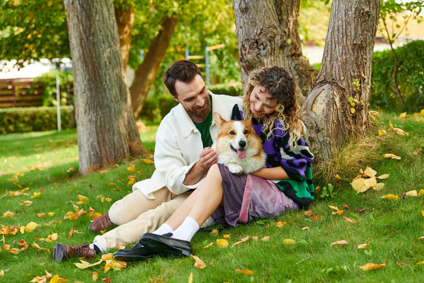 happy man and curly woman in cute outfit cuddling corgi dog and sitting near tree in autumnal park - Photo, Image
