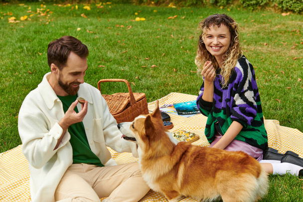happy couple eating delicious fig and having picnic with cute corgi dog on green lawn in park - Photo, Image