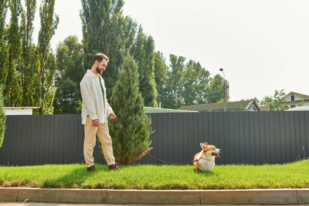 happy bearded man in cozy warm attire walking with cute corgi dog on green lawn near home - Φωτογραφία, εικόνα