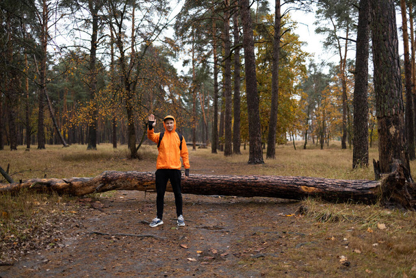 Árbol caído en el bosque de otoño. Árboles caídos en el suelo después de una fuerte tormenta. una persona muestra una señal de stop. - Foto, Imagen