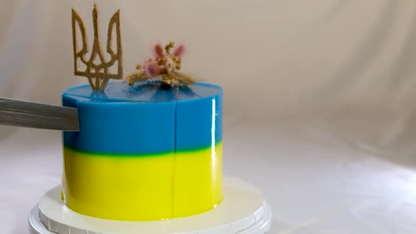 νόστιμο κέικ σφουγγάρι με κίτρινα και μπλε καρφιά βαφής του σιταριού και τρίαινα της Ουκρανίας ιδέα μαγείρεμα της ακεραιότητας της Ουκρανίας αγάπη για τη χώρα. πατριωτισμός - Πλάνα, βίντεο