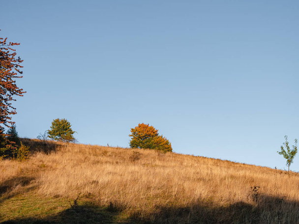 Dorf in Transkarpatien Region malerischen Karpaten Blick auf die Ukraine, Europa. Herbst Landschaft Herbst Fichten Kiefern Weide Ökotourismus Wandern Freizeit - Foto, Bild