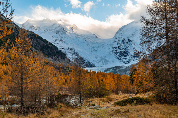 Lähikuva Morteratsch-jäätiköstä syksyllä, Engadin, Sveitsi. - Valokuva, kuva