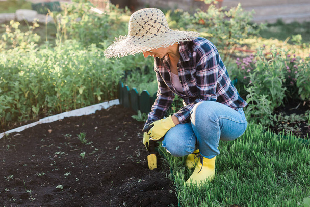 Positive smiling young woman gardener plants plants in the garden bed in spring on a warm sunny day. Organic farming and hobby - Foto, imagen
