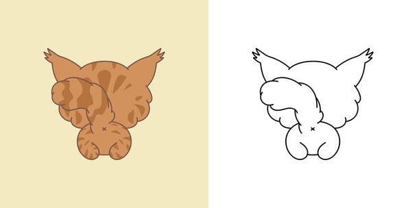 Cartoon Maine Coon Cat Clipart für Malseite und Illustration. Clip Art Isolated Kitty. Niedliche Vektorillustration eines Kawaii-Tieres für Drucke für Kleidung, Aufkleber, Babydusche.  - Vektor, Bild