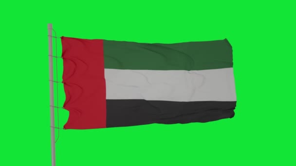 De vlag van de Verenigde Arabische Emiraten of de VAE zwaait op groen scherm. Nationale vlag van de Verenigde Arabische Emiraten. Vlag naadloze lus animatie. - Video