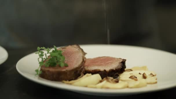 Video toont een chef-kok kruiden van een gastronomische vleesgerecht in een keuken van het restaurant. - Video