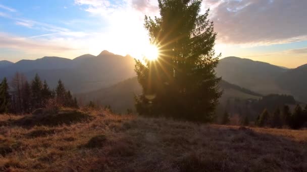 Tarde soleada en las montañas alpinas país en otoño puesta del sol paisaje con prado dorado y abeto en primer plano. Steadycam pan shot.  - Imágenes, Vídeo