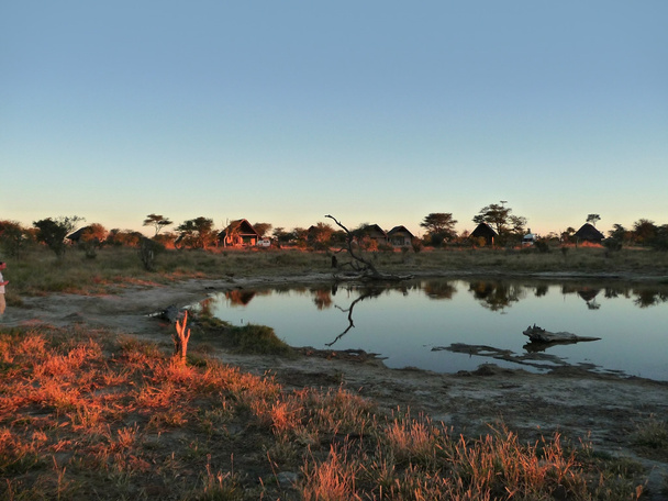 Слон Lodge в Ботсвані. - Фото, зображення