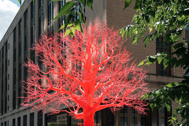 New York, Verenigde Staten. 22 juli 2023: Oude rode boom gemaakt door de Zwitserse kunstenaar Pamela Rosenkranz - Foto, afbeelding