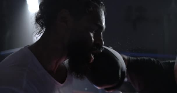 Impacto de boxeo en cámara lenta de 800 fps: la cara del luchador perforada con gotitas de sudor en el aire - Metraje, vídeo