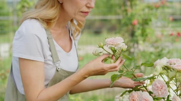A charming smiling middle aged woman in profile view sniffs peony with love and tenderness. A lady enjoys the floral aroma and results of her labor in floriculture. The concept of ideal hobby for - Footage, Video