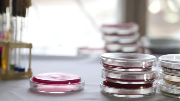 Hromádky Petriho misek v lékařské laboratoři - Záběry, video