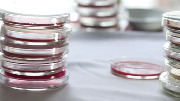 Pilhas de placas de Petri em laboratório médico
 - Filmagem, Vídeo