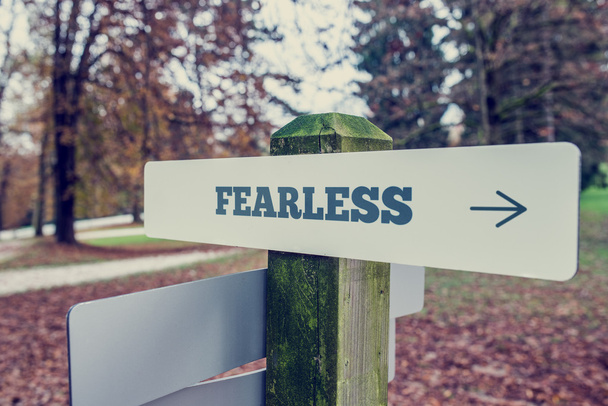 Sign Post Showing Direction to Fearlessness - Photo, Image