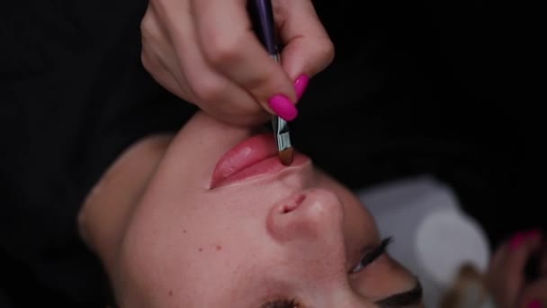 永久的な構造のプロシージャの準備および唇の輪郭への着色剤の適用. - 映像、動画