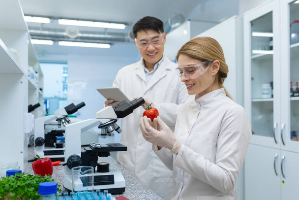 Joyful team van twee mensen man en vrouw in witte medische jassen lab arbeiders onderzoek voedsel groenten en fruit wetenschappers groeien producten in het lab. - Foto, afbeelding