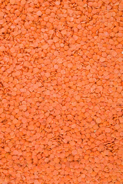Red lentils texture background. Close-up healthy organic lentil  - Photo, Image