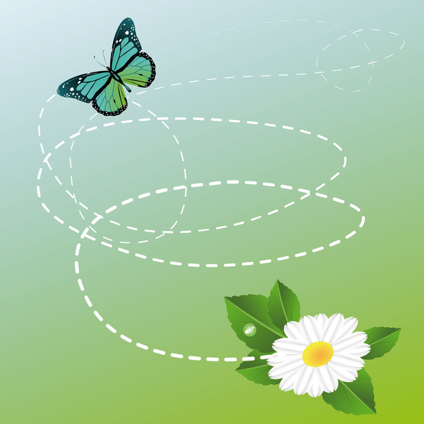 Butterfly - Vector, Image