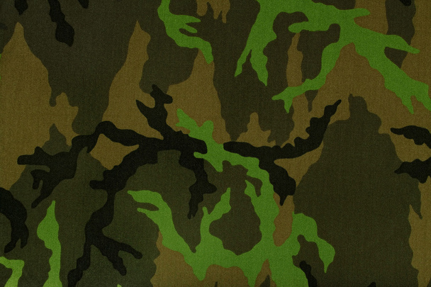 Camuflagem - Foto, Imagem