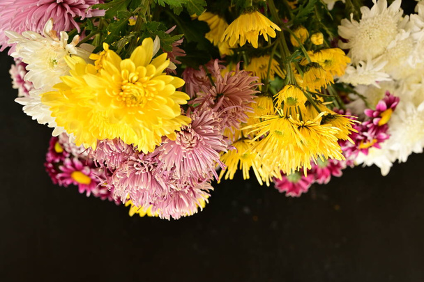 zbliżenie piękne chryzantemy, kwiaty  - Zdjęcie, obraz