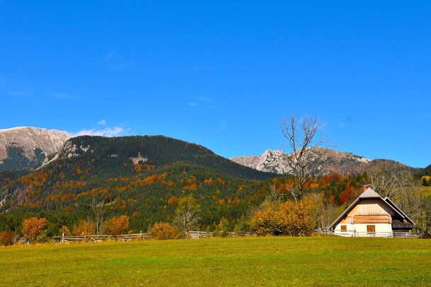 Dům na alpské pastvině Uskovnica s lesy pokrytými horami v Juliánských Alpách, Gorenjska, Slovinsko na podzim - Fotografie, Obrázek