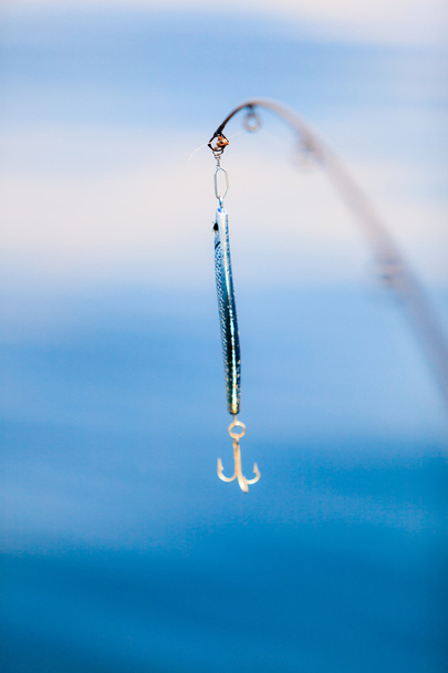 Fishing bait - rod with wobbler - Фото, изображение