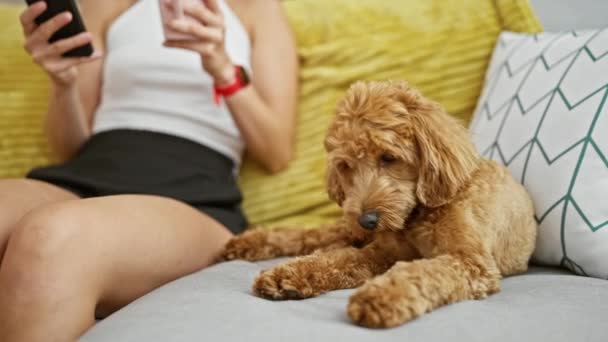 Mujer joven caucásica con perro sosteniendo la taza de un café con un teléfono inteligente sentado en el sofá en casa - Metraje, vídeo