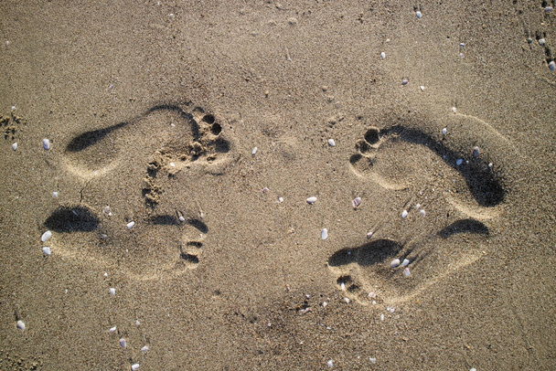 Fotografische Dokumentation Fußabdrücke von Menschen auf grauem Sand - Foto, Bild